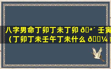 八字男命丁卯丁未丁卯 🪴 壬寅（丁卯丁未壬午丁未什么 🐼 命）